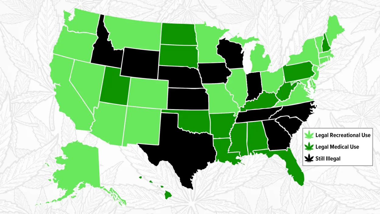 Top 10 Cannabis Tours to Experience in 2024